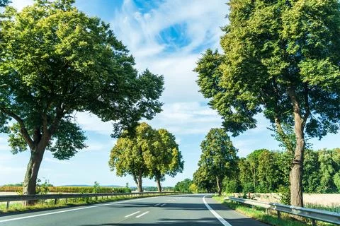 Wide angle view along a tree lined country road with yellow centre markings, Stock Photos