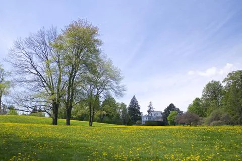 Wide angle view of the backyard of a mansion in springtime Stock Photos