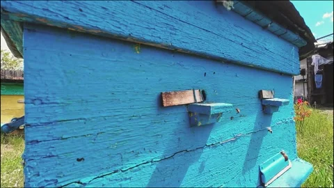 Wide Angle View of Blue Wooden Beehive in Rural Apiary 스톡 동영상 335072902