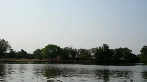Wide angle view of calm river water surface flowing with green tree forest . Video stock 328818398