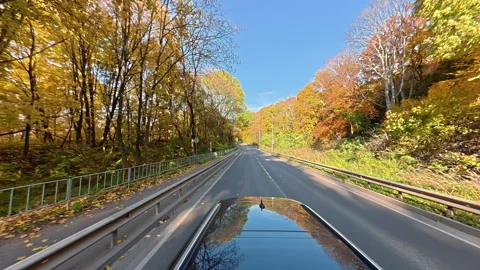 Wide angle view from a car driving through an autumn forest on a sunny day Stock Footage 320357118