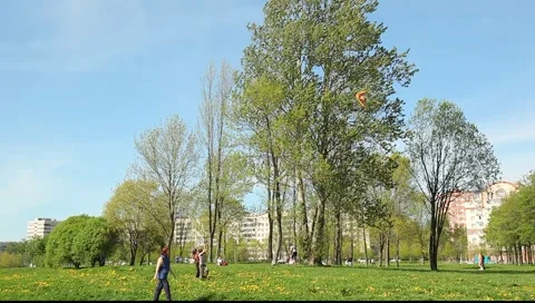 Wide angle view on the children, launching a kite Stock Footage 5384989
