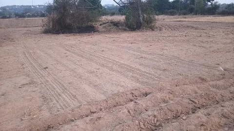 Wide Angle View of Curved Tractor Tire Tracks on Plowed Farmland Stock Photos