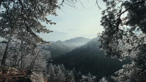 Wide angle view of a dreamy winter landscape in Slovakia Stock Footage 300878873