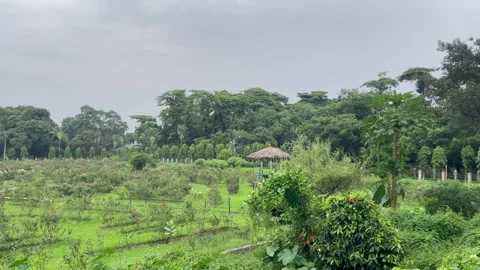 Wide Angle View of Eco Resort Meadow and Moody Monsoon Sky. Stock Footage 344777827
