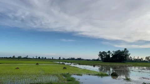 Wide Angle View of Flooded Rural Crop Field with Sky Horizon Stock Footage 343400076