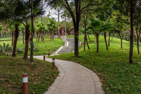Wide angle view of footpath in the park, no people,trees background Stock Photos
