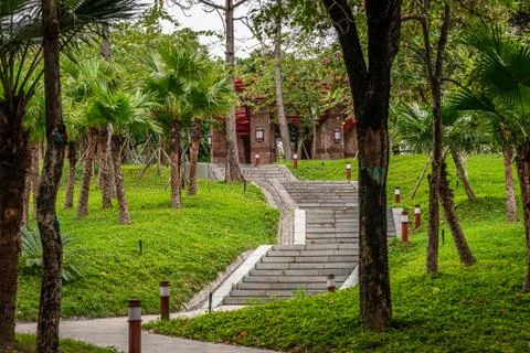 Wide angle view of footpath in the park, no people,trees background 写真素材
