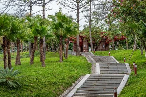 Wide angle view of footpath in the park, no people,trees background Stock Photos