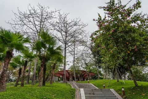 Wide angle view of footpath in the park, no people,trees background Stock Photos