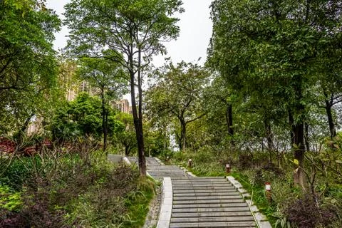 Wide angle view of footpath in the park, no people,trees background 写真素材