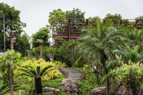 Wide angle view of footpath in the park, no people,trees background Stock Photos