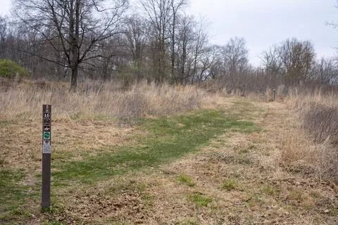 Wide Angle View of Forest Trail and Grassy Path in Pennsylvania Park 写真素材
