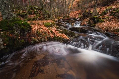 A wide-angle view of a forest waterfall spilling into a swirling pool. Stock Photos