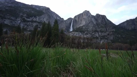 Wide angle view: grass blowing in wind at base of Upper Yosemite Falls Stockbeeldmateriaal 241194129