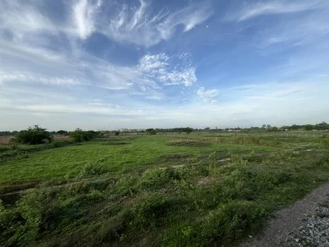 Wide Angle View of Green Fields under Bright Blue Sky with Wispy Clouds in .. Stock Photos