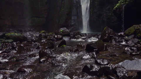 Wide Angle View of Hidden Waterfall Cascading Into Rocky Pool Surrounded by Lush Stock Footage 337021392