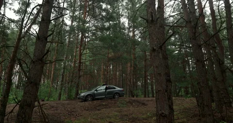 Wide angle view of man putting on jacket near car in pine forest, real sound Stock Footage 340844756