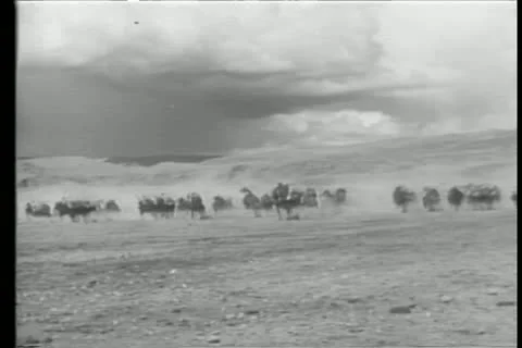 Wide angle view of Moroccan cavalry charging through desert Stock Footage 11348437