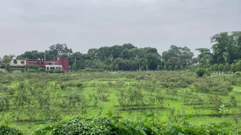 Wide Angle View of Open Green Meadow and Moody Monsoon Sky. Stock Footage 344777826