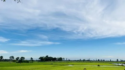 Wide Angle View of Open Green Agricultural Pasture and Sky Horizon Stock Photos