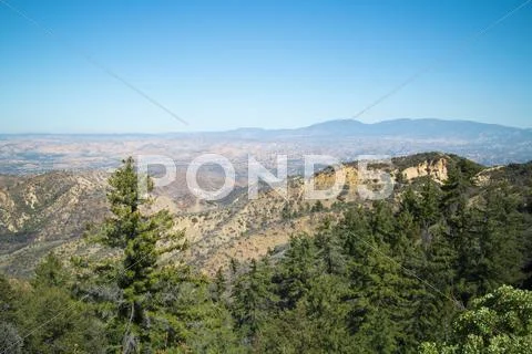 Wide angle view overlooking trees and valley Stock Photos