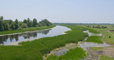 Wide angle view of a pond and swamp in green plain countryside under blue sky Stock Footage 263124495
