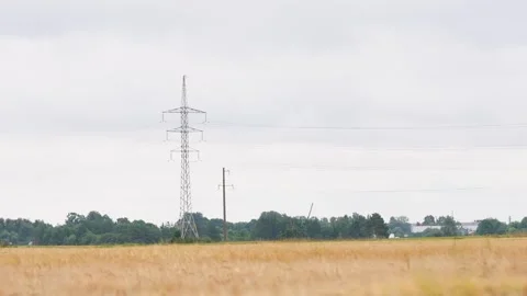 Wide Angle View of Power Lines Crossing Rural Wheat Field Under Cloudy Sky Stock Footage 340998938