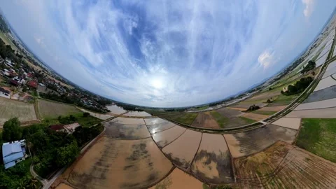 Wide-angle view of rice paddies under a vast blue sky Vidéo 345395533