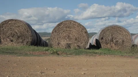 Wide Angle View of Round Hay Bales on a Sunny Farm with Clouds in the Sky Stock Footage 304854112