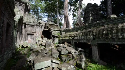 Wide angle view of ruins and nature inside Ta Prohm Temple Stock Footage 99677800