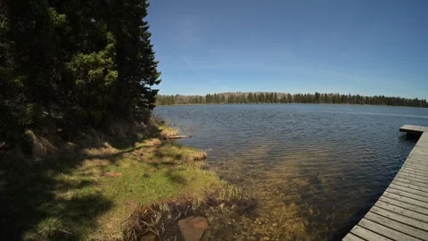 Wide angle view of a small northern lake and wooden dock under a blue sky with Stock Footage 335767930
