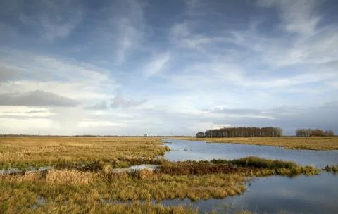 Wide angle view on small wild lake and blue sky Stock Photos