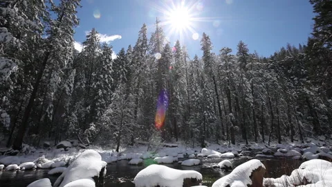 Wide angle view of the sun melting snow on a forested river in Yosemite Stock Footage 195232410