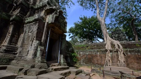 Wide angle view of Ta Prohm Temple Stock Footage 99677735