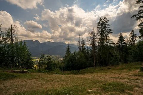 Wide angle view of tall trees on a hill from Gubalowka showing Giewont mounta Stock Photos