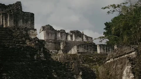 Wide Angle View of Tikal Temple Ruins in Mayan Jungle, Guatemala – Ancient Stock Footage 341427633