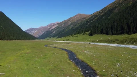 Wide angle view of vast mountain valley with winding stream and pine forest Stock Footage 335647481