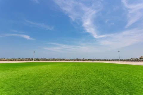 Wide angle view of vibrant green grass field under a bright blue sky with w.. Foto stock