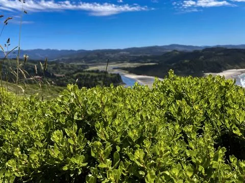 Wide-Angle View of Winding River from Hilltop Stock Photos