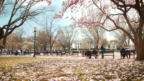 Wide Angle White House Pan Stock Footage 107005318