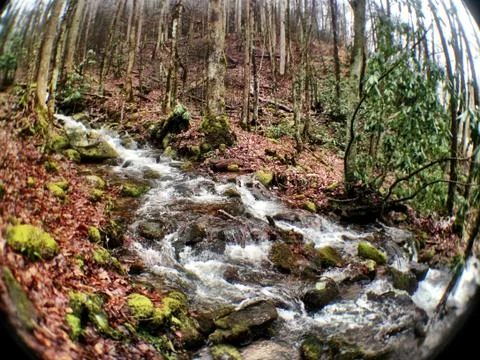 Wide Angle WInter Stream Photos