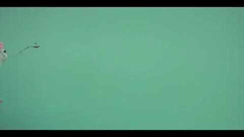 Wide Arc Blood Splatter VFX Overlay On Green Background Video stock 340205656
