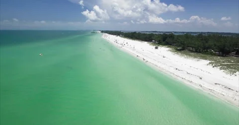 Wide beach and pine grove along an emerald shore Vidéo 64586012