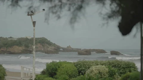 Wide beach and rocks with tree framing Vídeo Stock 342925518