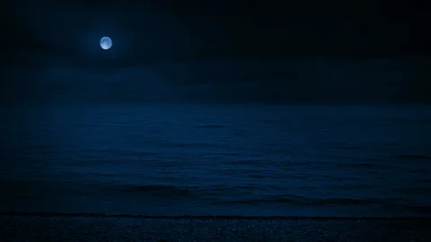 Wide Beach Landscape In The Moonlight Stock Footage