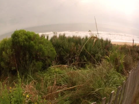 Wide Beach Pan Stock Footage 8693006