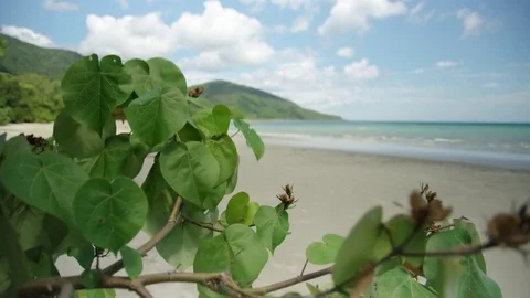 Wide beautiful shot of the beach Stock Footage 78976265