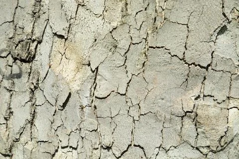 Wide Beige brick wall panoramic background texture. Stock Photos