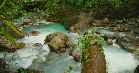 Wide blue river with rapids flowing around rocks and moss covered log in Vidéo 345539655